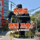 죽림수퍼 | 여수 가볼만한곳 추천ㅣ유월드 루지 테마파크 슈퍼패스 및 다양한 꿀팁 모음 (모르면 완전 손해!)