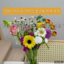 상성농장 | [선물] 1만원대 가성비 꽃선물, 꽃다발 택배 후기 (생화 택배, 농협생생화환, NH생생플라워)