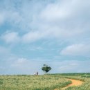 명복농장 이미지