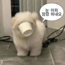 제주 혼자 여행 2일차, 천천히 쉬어간 하루