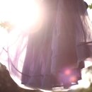 어느 맑은 날 이미지