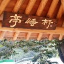 고염나무 민박 이미지