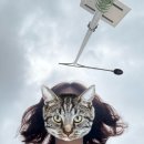 속편한아산내과의원 이미지