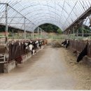 은신목장 이미지