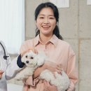블루오션기획