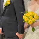 (주)아이디팜 | [웨딩/본식부케] 💐꽃술예 : 카탈레나 노란 장미 부케