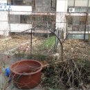 동해시-63 이미지