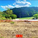 사미정민박 이미지