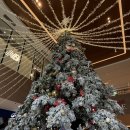 UR(파주시)-[와석순환로]-하-2 | 파주 운정 스타필드빌리지 카페 잉크커피 내돈내산 방문후기