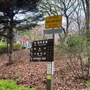 대천공원2호 이미지