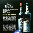 벨루가(Beluga) 이미지