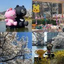 김천문화회관 (옥외2)_김천문화회관_#1 | 2026 연화지 벚꽃축제 in 김천 | 주차장과 벚꽃만개