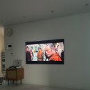 닥터스테리 이미지