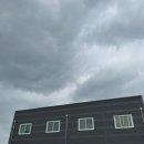 하트멍 | 천안 사모예드 카페 하트멍 강아지 카페 방문 후기