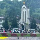 호텔시카고 2호점 | 베트남 여행 사파 맛집 직접 다녀온 5곳 후기 !