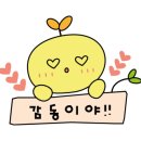 해온마취통증의학과의원 이미지