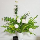 뉴메딕스 이미지