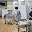 하루 간병비 12만원인데 보험금 20만원?…팔수록 손해나도 출혈 이미지