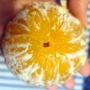 욱이네 농장 이미지