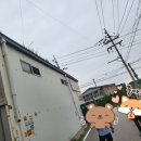 금촌농약사 네이버블로그