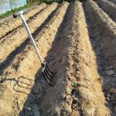 둔덕농장3 이미지