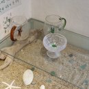 오렌즈강릉교동점센스안경 | 강릉살자 '두 개의 파도' 디자인 스터디케이션 3일차 기록