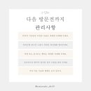 원톤스킨 이미지