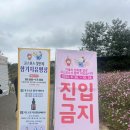 거창축협 한우팰리스 | 🌄 2025 경북 거창하구나! 구경가세 — 거창 9경, 이렇게 돌면 딱 좋아요