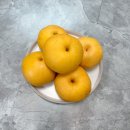 중열농장 | 나주배 열자농장 창조배 3kg 후기