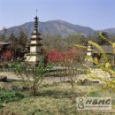 구산-009 이미지