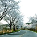 상학주차장 이미지