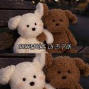 주동아리 | 12월 일상