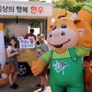 와~한우다 이미지