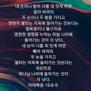 오늘,433