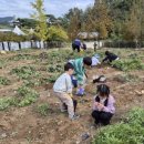 구고방앗간 이미지