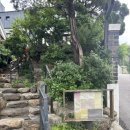 고려손만두 | 부암동 자하손만두 후기 : 미쉐린 만두 맛집 +주차정보
