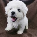 몽글몽글# 이미지