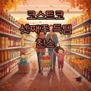 리복구미 | 코스트코 10월 셋째주 주요 할인, 놓칠 수 없는 침구류와 인기 품목