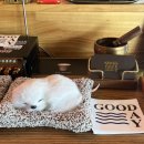굿데이카페(Good day cafe)