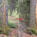 들숨날숨 이미지