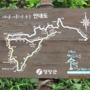 아랫대티 숲 이미지