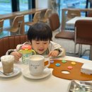 김포한강유도체육관 감정점 | 아기랑 주말데이트 케이크만들기 김포 마산동 카페 마리오너