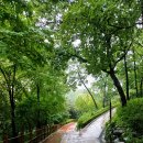 인창중앙공원(산책로) 이미지