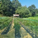 본동 당구장 이미지