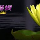 미운 꽃은 없다 / 詩 은월 김혜숙, 업경業鏡을 씻고 다시 피어날 땐 오만은 버리고 새로 피어라... 이미지