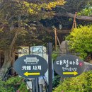 대청정육점