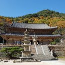 단풍 - 문경시 당교10길 17-3 | 단풍