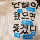 곰돌이타코야끼 이미지