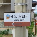 아녹스테이