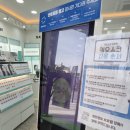 물빛안경 | 탕정안경 꼼꼼한 시력검사- 다비치안경 탕정역점 방문 후기